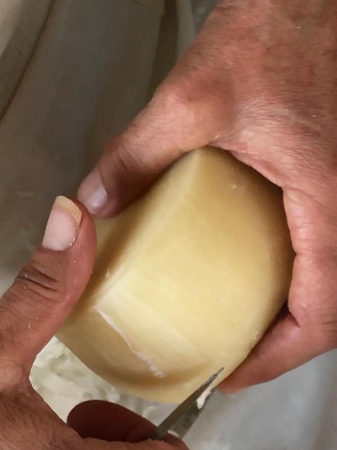 Dimora Igea B&B Montano Antilia Dış mekan fotoğraf